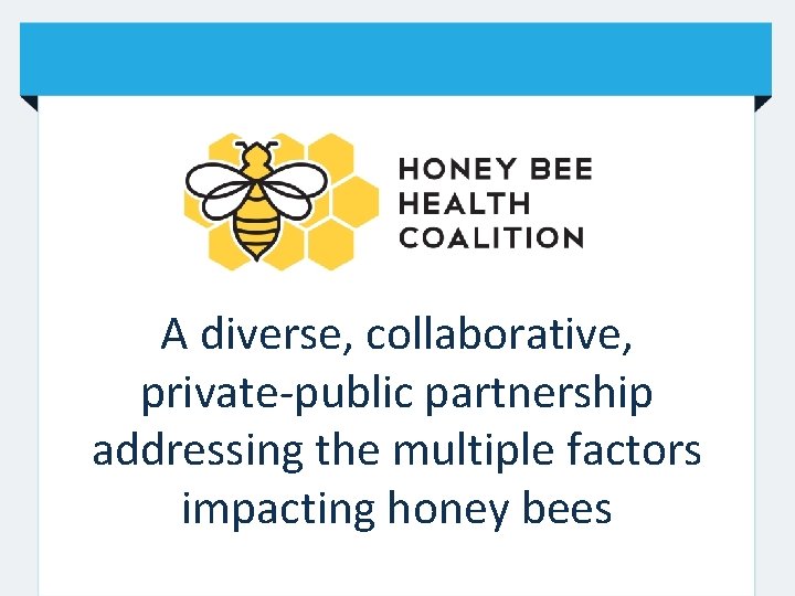 A diverse, collaborative, private-public partnership addressing the multiple factors impacting honey bees 