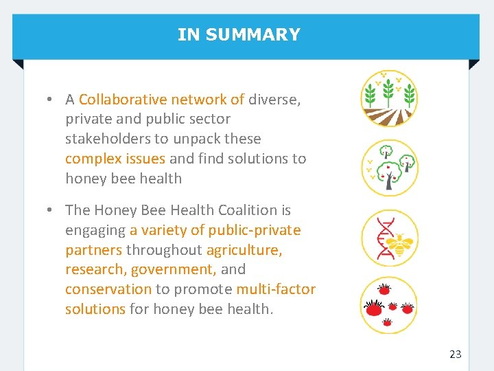 IN SUMMARY • A Collaborative network of diverse, private and public sector stakeholders to