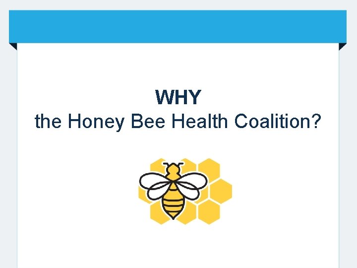 WHY the Honey Bee Health Coalition? 