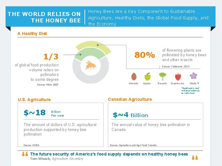 THE WORLD RELIES ON THE HONEY BEE Honey Bees Are a Key Component to