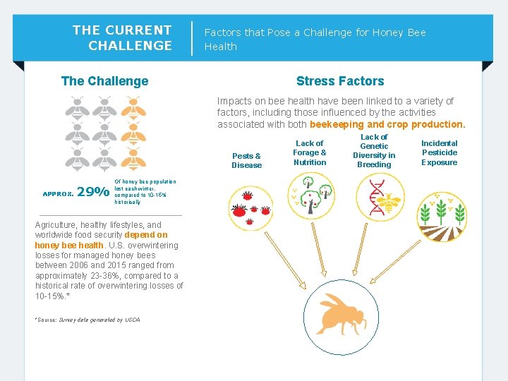 THE CURRENT CHALLENGE Factors that Pose a Challenge for Honey Bee Health The Challenge