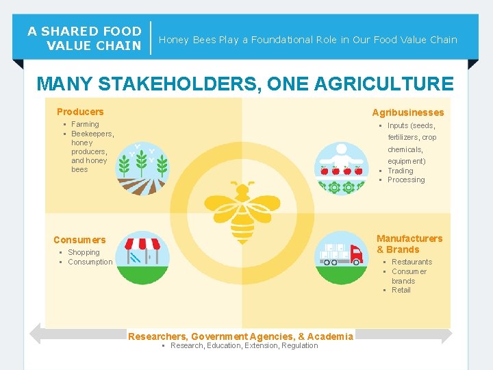 A SHARED FOOD VALUE CHAIN Honey Bees Play a Foundational Role in Our Food