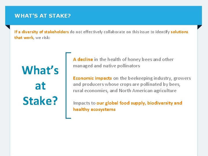 WHAT’S AT STAKE? If a diversity of stakeholders do not effectively collaborate on this