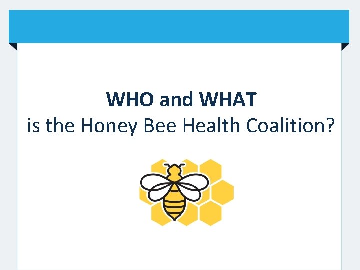 WHO and WHAT is the Honey Bee Health Coalition? 