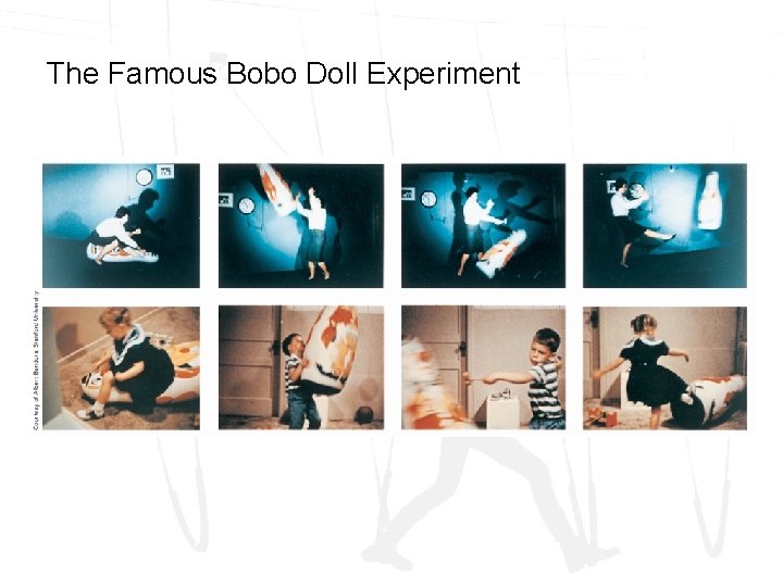 The Famous Bobo Doll Experiment 