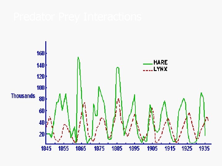 Predator Prey Interactions 