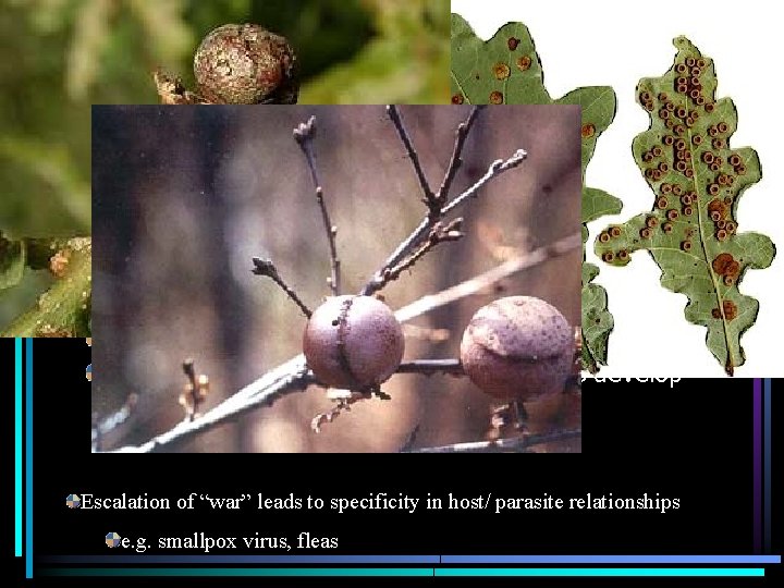 Important aspects of host- parasite interactions Parasites adapt to improve effectiveness of parasitism Obligate