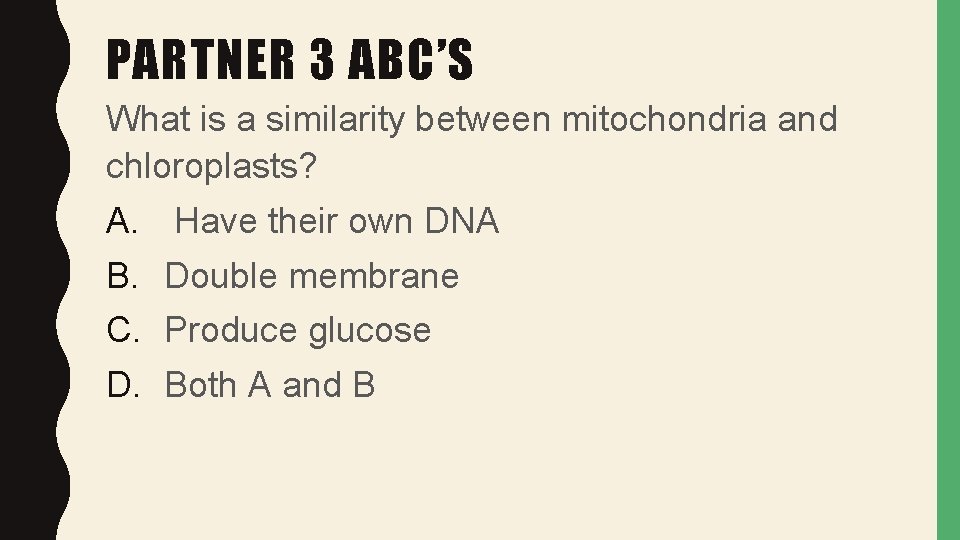 PARTNER 3 ABC’S What is a similarity between mitochondria and chloroplasts? A. B. C.