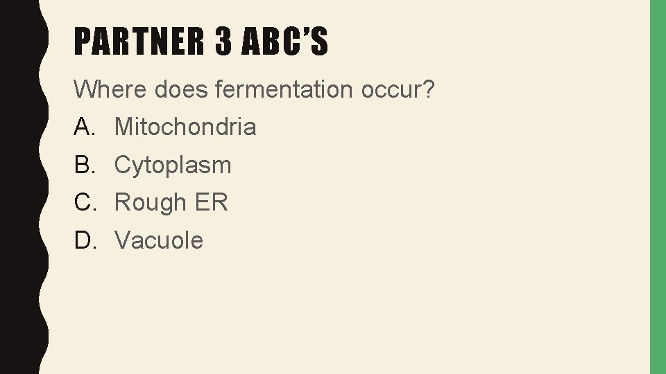 PARTNER 3 ABC’S Where does fermentation occur? A. B. C. D. Mitochondria Cytoplasm Rough