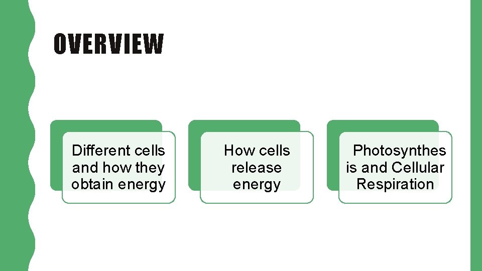 OVERVIEW Different cells and how they obtain energy How cells release energy Photosynthes is