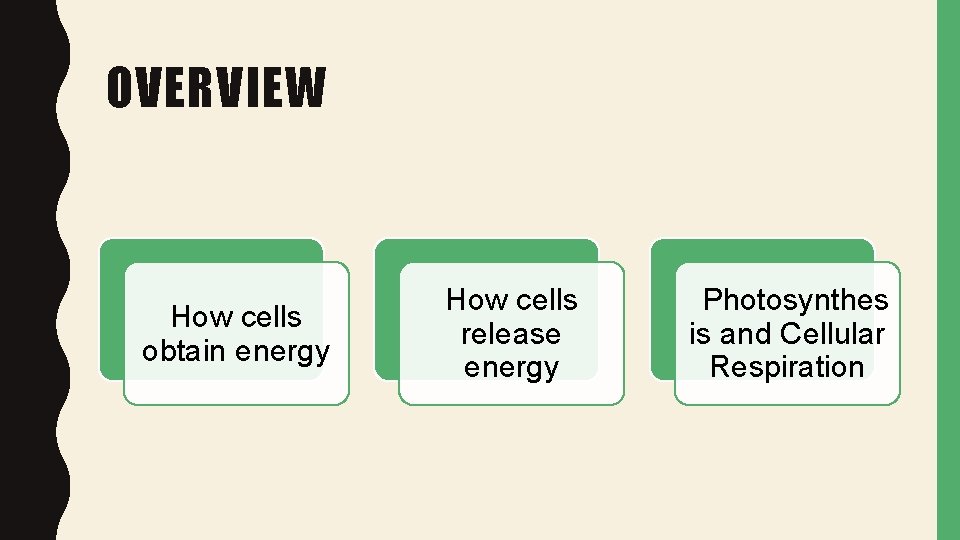 OVERVIEW How cells obtain energy How cells release energy Photosynthes is and Cellular Respiration