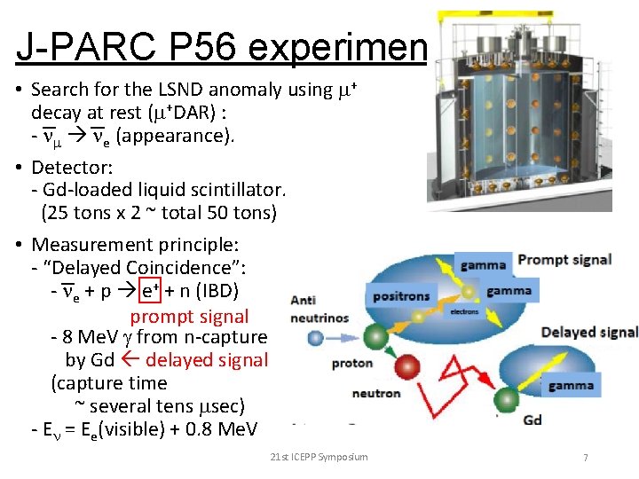 J-PARC P 56 experiment • Search for the LSND anomaly using m+ decay at