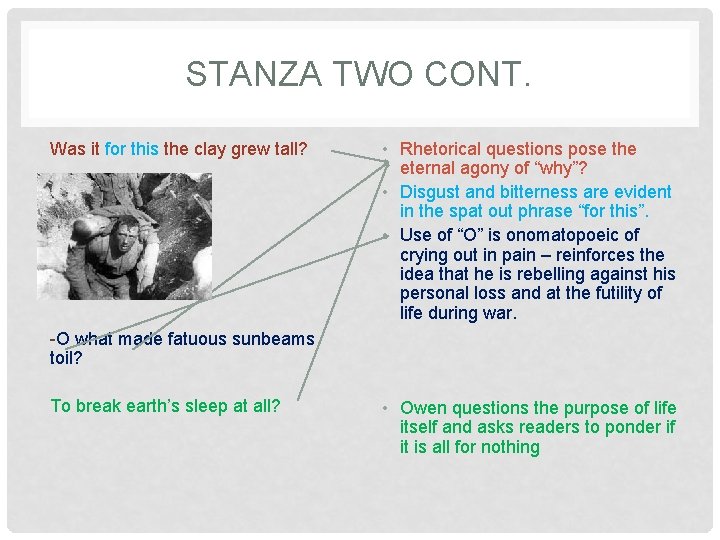 STANZA TWO CONT. Was it for this the clay grew tall? • Rhetorical questions