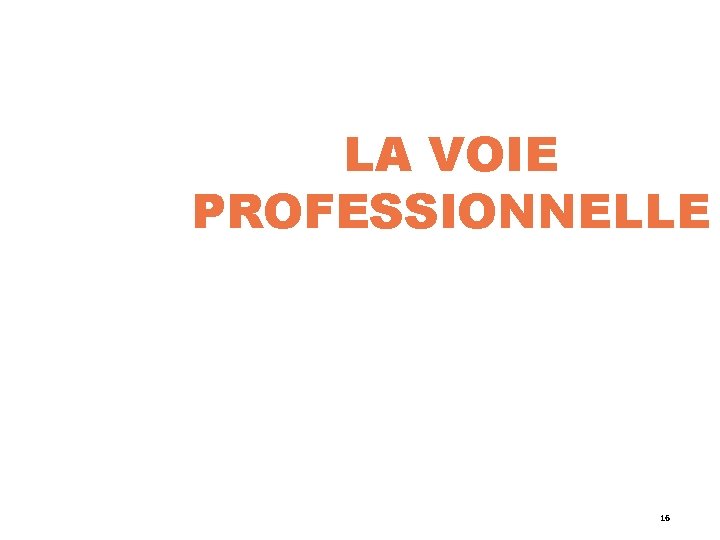 LA VOIE PROFESSIONNELLE 16 