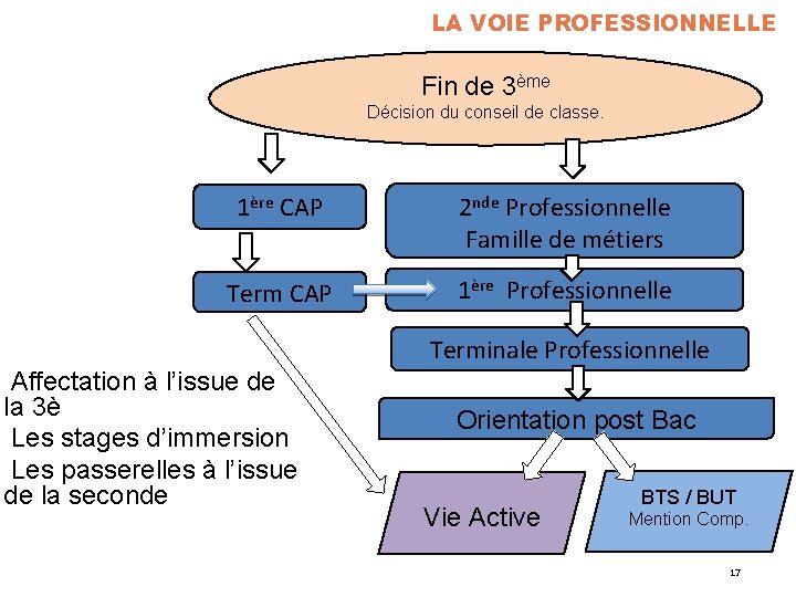 LA VOIE PROFESSIONNELLE Fin de 3ème Décision du conseil de classe. 1ère CAP 2