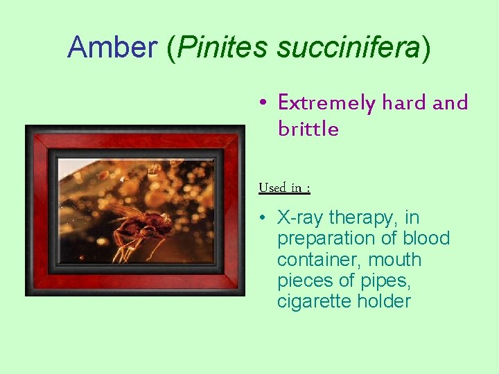 Amber (Pinites succinifera) • Extremely hard and brittle Used in : • X-ray therapy,