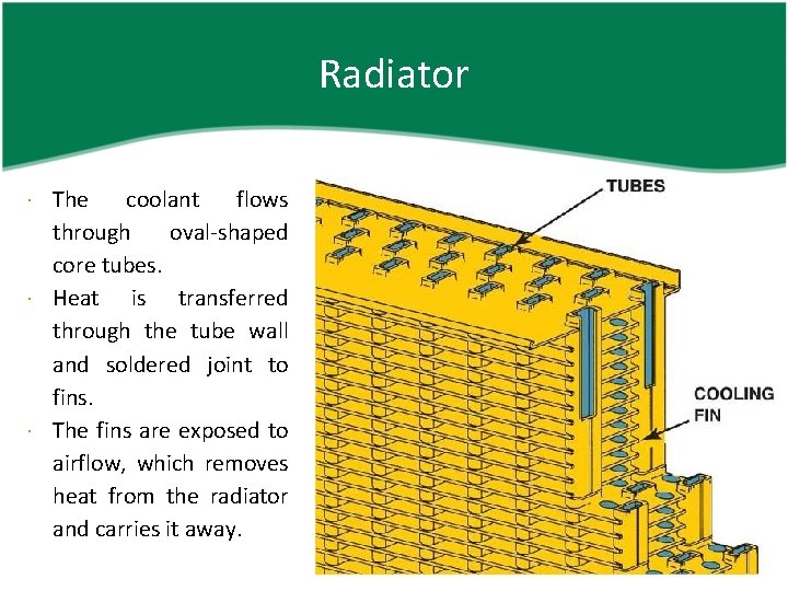 Radiator The coolant flows through oval-shaped core tubes. Heat is transferred through the tube