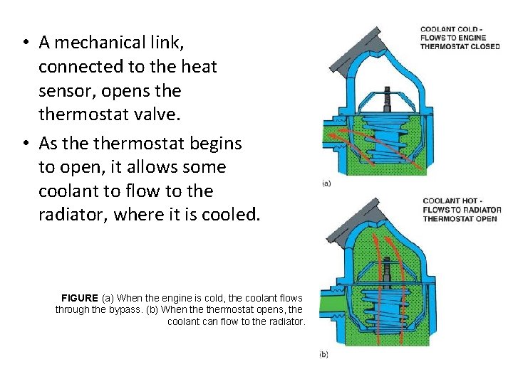  • A mechanical link, connected to the heat sensor, opens thermostat valve. •