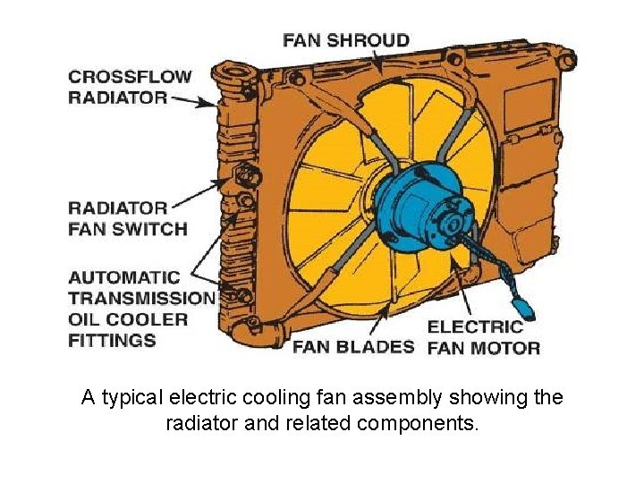 A typical electric cooling fan assembly showing the radiator and related components. 
