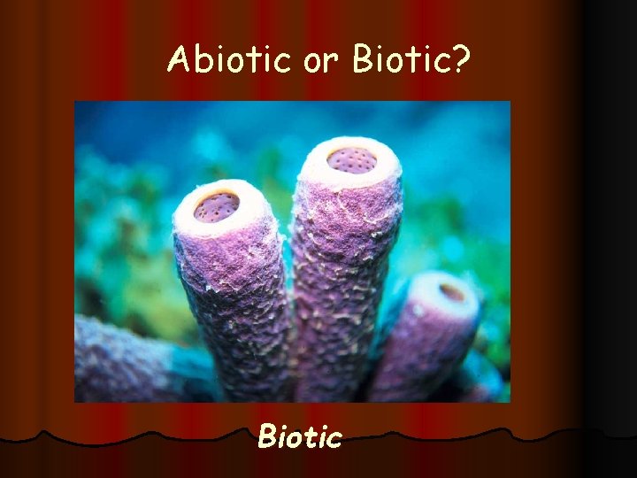 Abiotic or Biotic? Biotic 