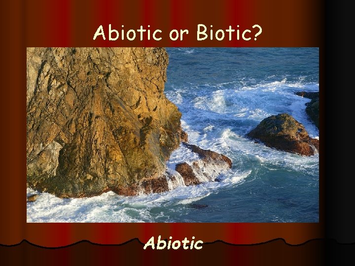 Abiotic or Biotic? Abiotic 