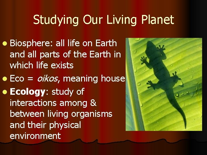Studying Our Living Planet l Biosphere: all life on Earth and all parts of