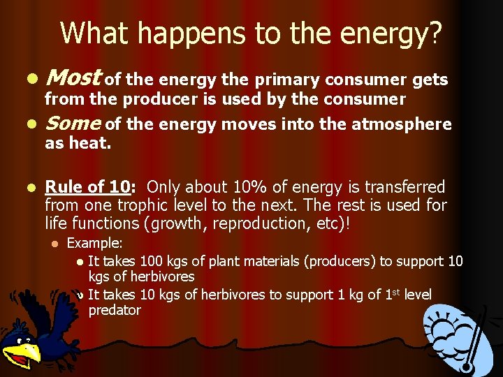 What happens to the energy? l Most of the energy the primary consumer gets