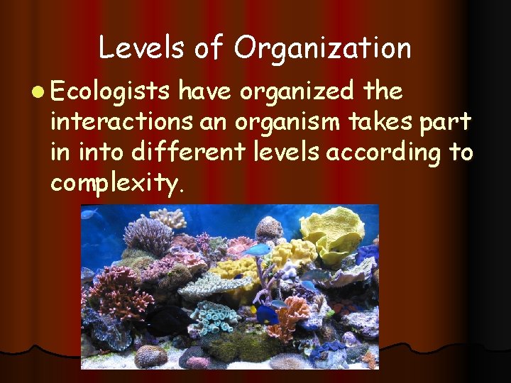 Levels of Organization l Ecologists have organized the interactions an organism takes part in