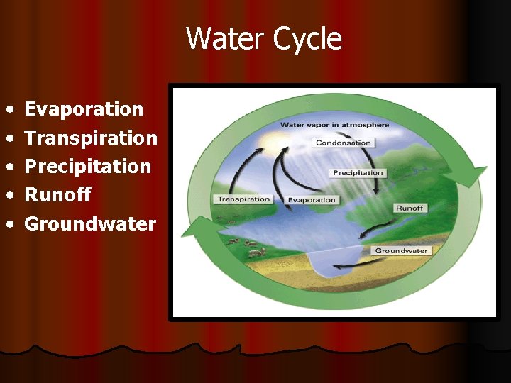 Water Cycle • • • Evaporation Transpiration Precipitation Runoff Groundwater 