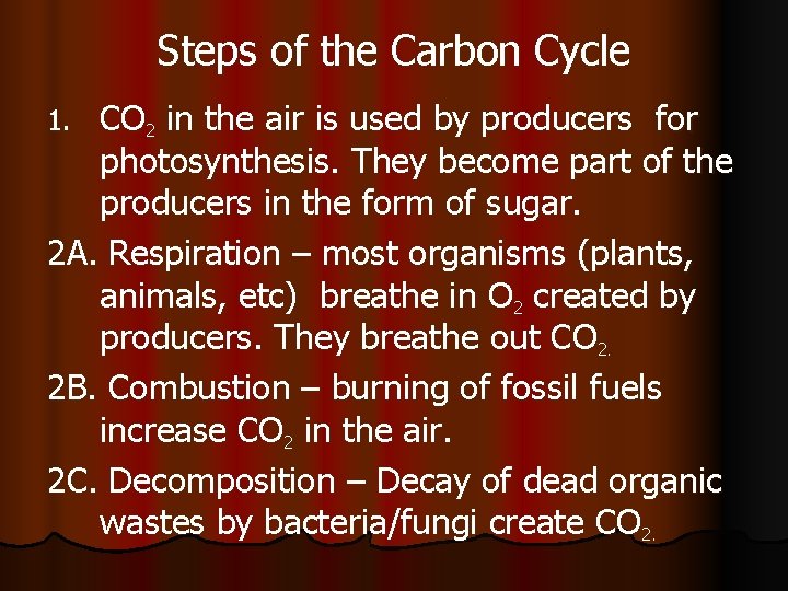 Steps of the Carbon Cycle CO 2 in the air is used by producers