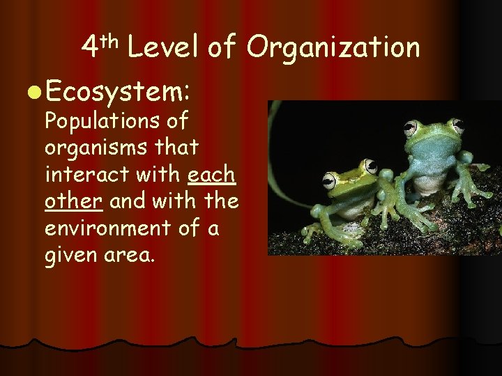 4 th Level of Organization l Ecosystem: Populations of organisms that interact with each