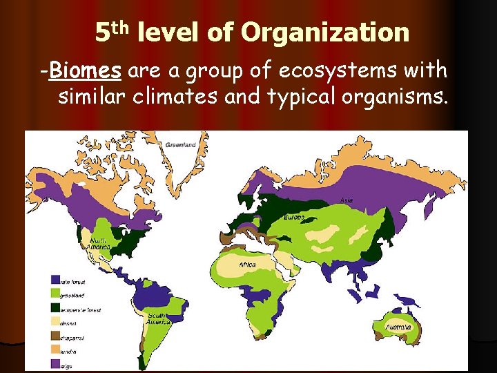 5 th level of Organization -Biomes are a group of ecosystems with similar climates