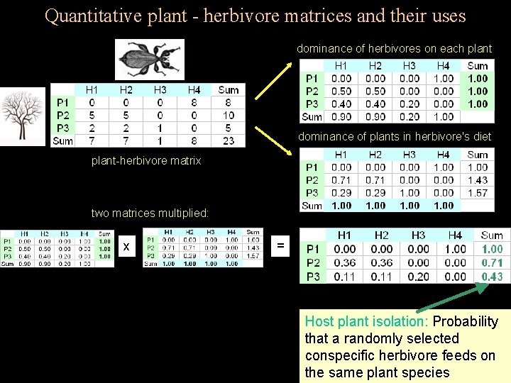 Quantitative plant - herbivore matrices and their uses dominance of herbivores on each plant