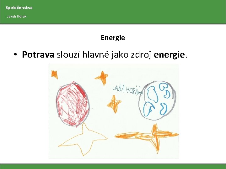 Společenstva Jakub Horák Energie • Potrava slouží hlavně jako zdroj energie. 