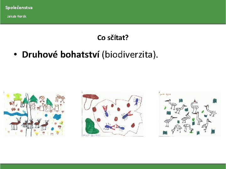 Společenstva Jakub Horák Co sčítat? • Druhové bohatství (biodiverzita). 