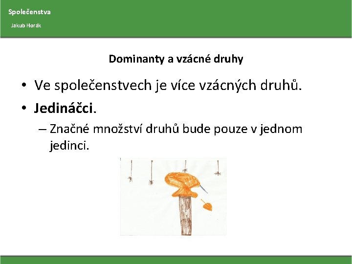 Společenstva Jakub Horák Dominanty a vzácné druhy • Ve společenstvech je více vzácných druhů.