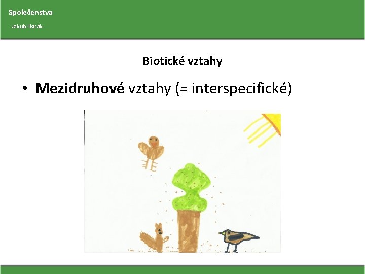 Společenstva Jakub Horák Biotické vztahy • Mezidruhové vztahy (= interspecifické) 