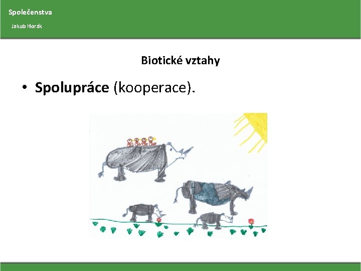 Společenstva Jakub Horák Biotické vztahy • Spolupráce (kooperace). 