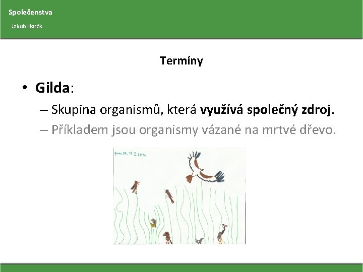 Společenstva Jakub Horák Termíny • Gilda: – Skupina organismů, která využívá společný zdroj. –