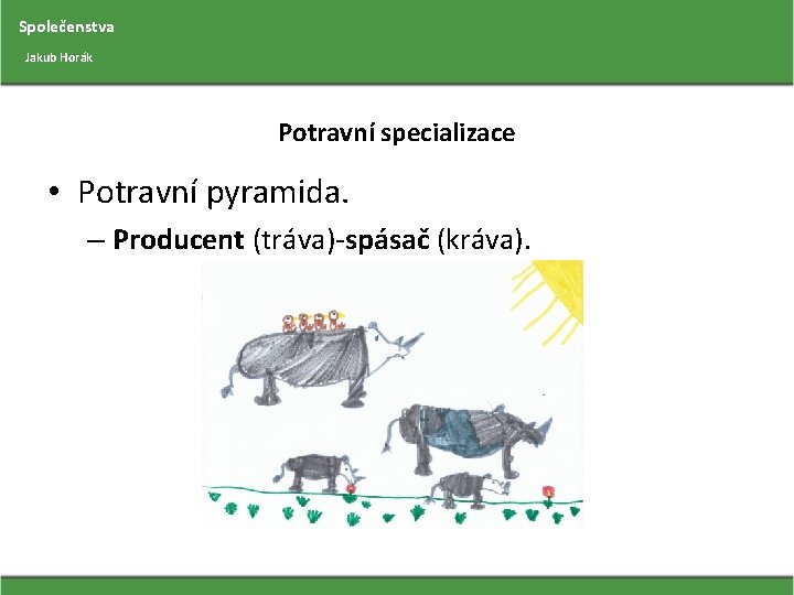 Společenstva Jakub Horák Potravní specializace • Potravní pyramida. – Producent (tráva)-spásač (kráva). 