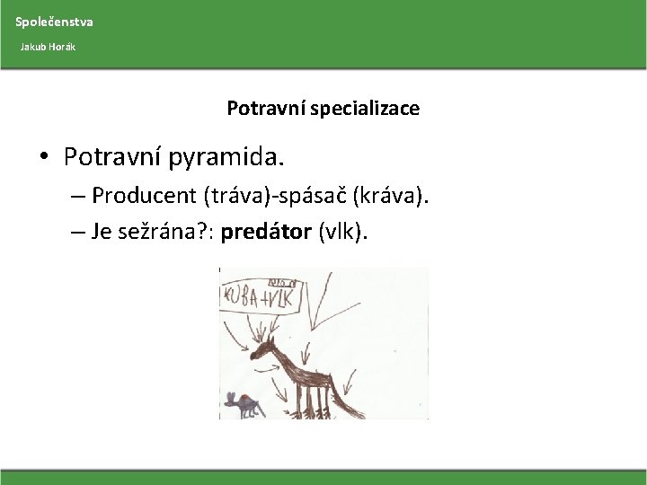 Společenstva Jakub Horák Potravní specializace • Potravní pyramida. – Producent (tráva)-spásač (kráva). – Je