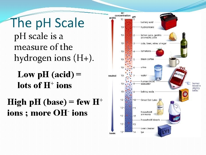 The p. H Scale p. H scale is a measure of the hydrogen ions