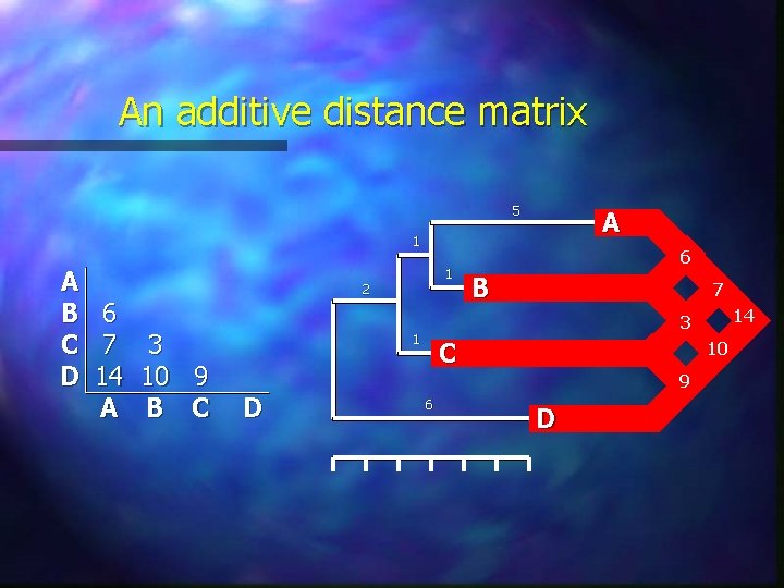 An additive distance matrix 5 A 1 A B 6 C 7 3 D An additive distance matrix 5 A 1 A B 6 C 7 3 D