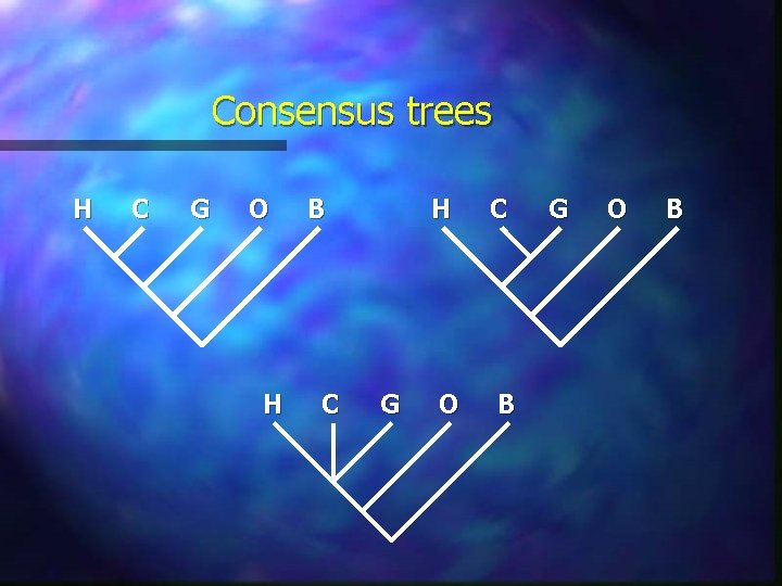 Consensus trees H C G O H B C G H C O B Consensus trees H C G O H B C G H C O B