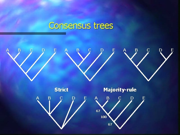 Consensus trees A B C D E A B C D Strict A B Consensus trees A B C D E A B C D Strict A B