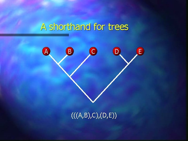A shorthand for trees A B C D (((A, B), C), (D, E)) E A shorthand for trees A B C D (((A, B), C), (D, E)) E