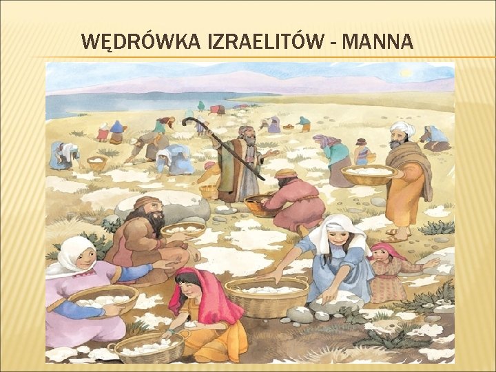 WĘDRÓWKA IZRAELITÓW - MANNA 