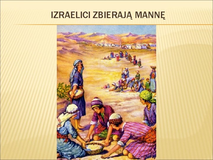 IZRAELICI ZBIERAJĄ MANNĘ 