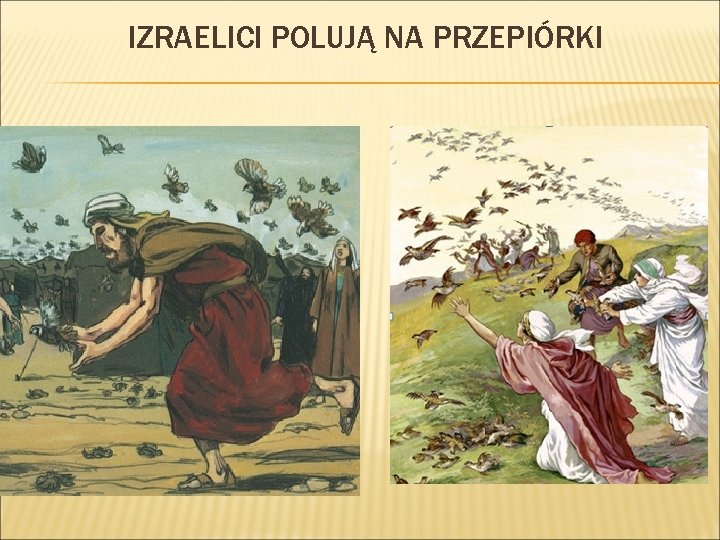 IZRAELICI POLUJĄ NA PRZEPIÓRKI 