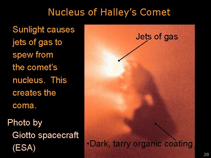 Nucleus of Halley’s Comet Sunlight causes jets of gas to spew from the comet’s